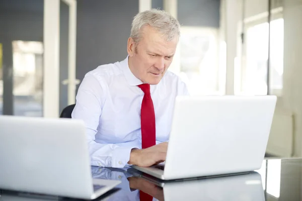 Manager arbetar på bärbara datorer. — Stockfoto