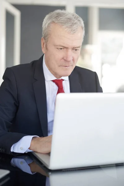 Direktör som sitter framför laptop — Stockfoto