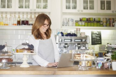 bir dizüstü bilgisayar kullanarak sahibi