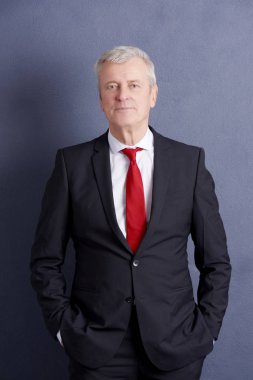 Üst düzey profesyonel adam 