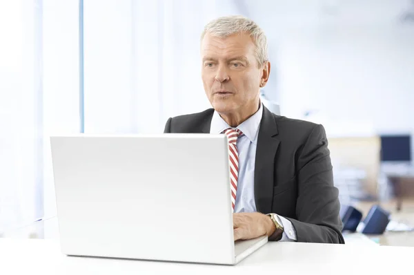 Senior zakenman werken — Stockfoto