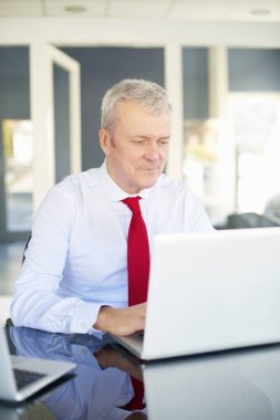 kendi dizüstü kullanarak iş adamı 