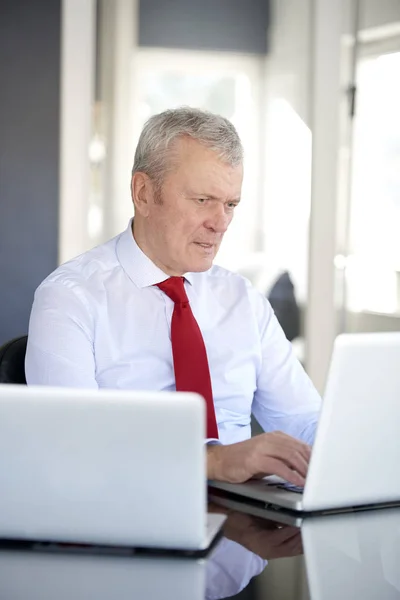 Manager za pomocą laptopów — Zdjęcie stockowe