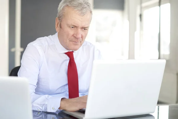 Manager met behulp van laptops — Stockfoto