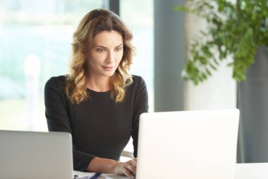 İş kadını Laptop 'ta çalışıyor 