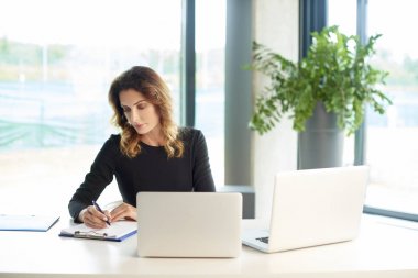 İş kadını Laptop 'ta çalışıyor 