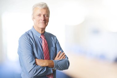 üst düzey işadamı duran 