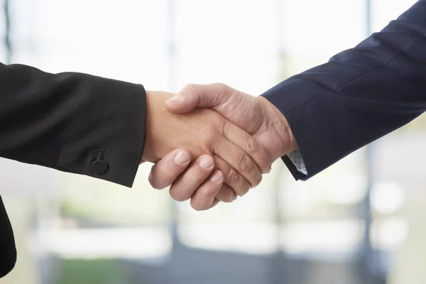 Businesswoman and a businessman shaking hands. — Stock Photo, Image