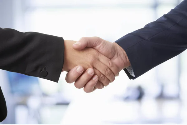 Businesswoman and a businessman shaking hands. — Stock Photo, Image