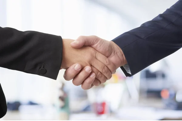 Businesswoman and a businessman shaking hands. — Stock Photo, Image