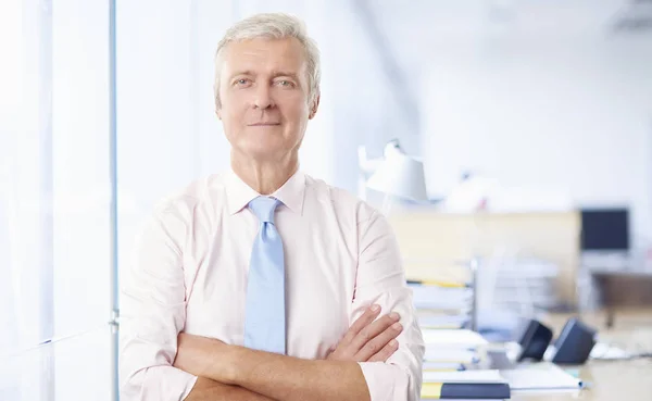 Senior businessman standing — Stock Photo, Image