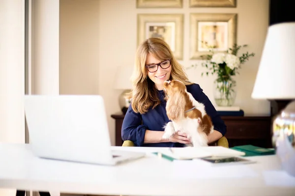 자신의 노트북 귀여운 강아지와 집에서 일하는 여성의 초상화 사무실 — 스톡 사진