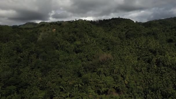 Widok z lotu ptaka gęsta tropikalna dżungla. Wrogie Se Asia Jungle — Wideo stockowe