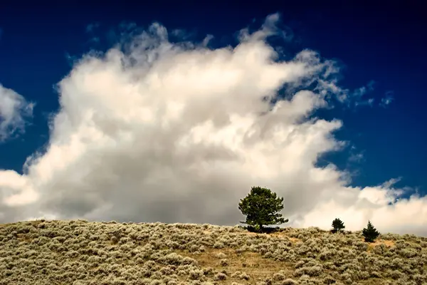 Paisaje americano, nubes blancas sobre las llanuras de Montana. BIg Sky País — Foto de Stock