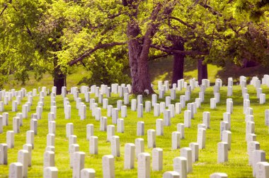 Arlington Mezarlığı, Virginia. Birleşik Devletler Askeri Mezarlığı. Toombstone 'lar.