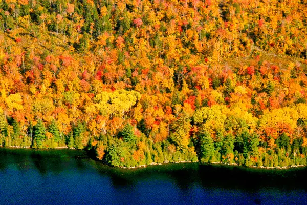 Dramatische Herbst Farben acadia Nationalpark, Maine Neuengland. Amerikanischer Tourismus lizenzfreie Stockfotos