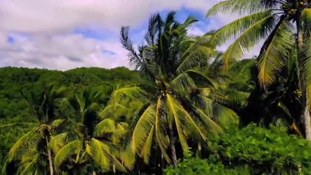 Vol à basse altitude au-dessus de montagnes denses de jungle tropicale, Surigao Philippines . — Video