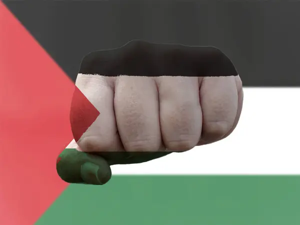 Palestina Vlag geschilderd op menselijke vuist die macht vertegenwoordigt — Stockfoto