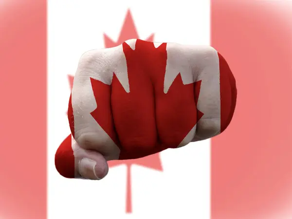 Bandera canadiense pintada sobre puño humano que representa el poder — Foto de Stock