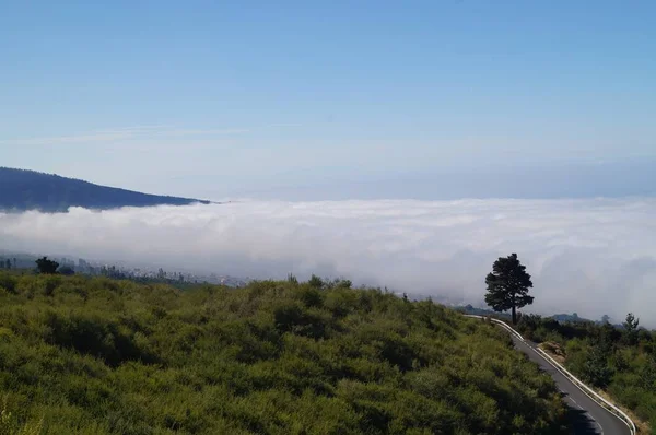 Mar Nubes Sobre Valle Orotava — Foto de Stock
