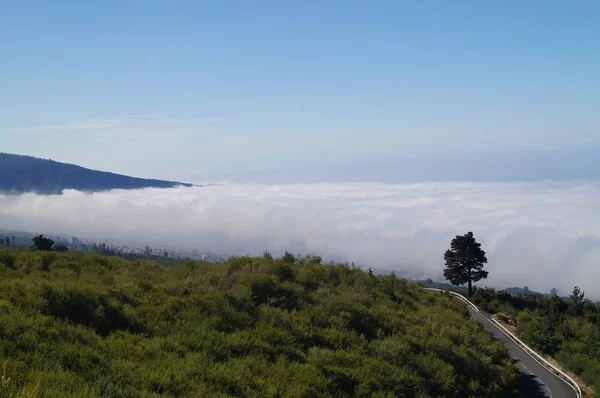 Mar Nuvens Sobre Vale Orotava — Fotografia de Stock