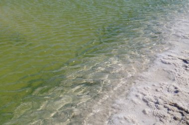 Yeşil su ve beyaz tuz kristalleri 