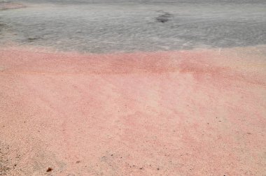 Yunanistan Girit 'teki Elafonisi plajında pembe kum ve mavi su 