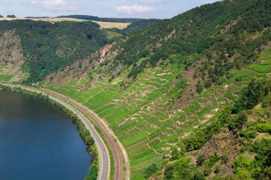 Mosel ve üzüm bağları ile yaz aylarında Moselle Vadisi
