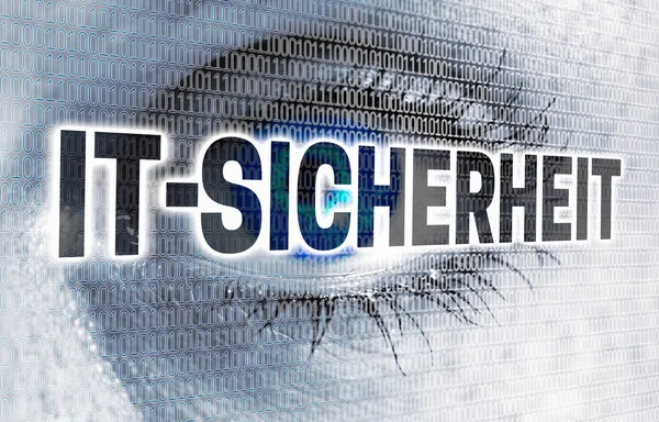 IT Sicherheit ( in german IT security) eye with matrix looks at