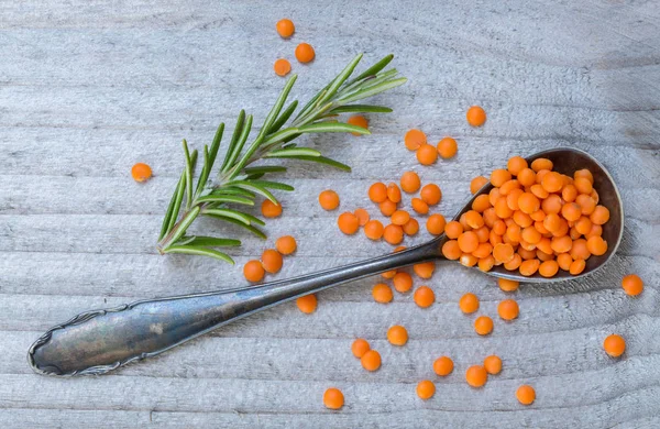 Red lentils and rosemary on a spoon macro — Stock Photo, Image