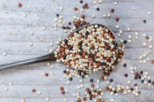 Quinoa su una macro cucchiaio — Foto Stock