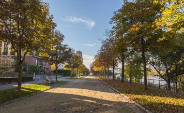 Güz Frankfurt am Main Almanya Deutschherrnufer