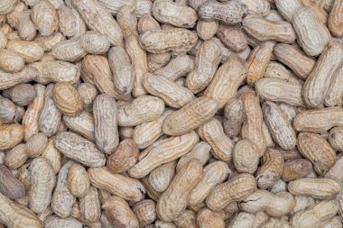 Fıstık makro ayrıntılı arka plan