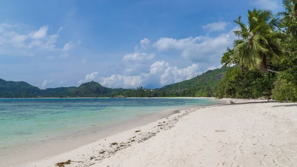 Бухти Лазар піщаний пляж на Мае Сейшельські острови — стокове фото
