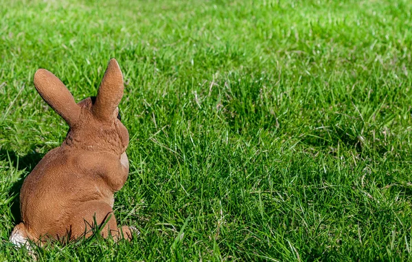 Coelho de Páscoa no prado com copyspace — Fotografia de Stock