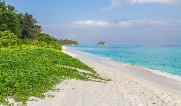 Anse Royale písečná pláž na Mahe Seychely — Stock fotografie