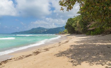 Anse Marie-Laure sandy plaj Mahe Seyşeller
