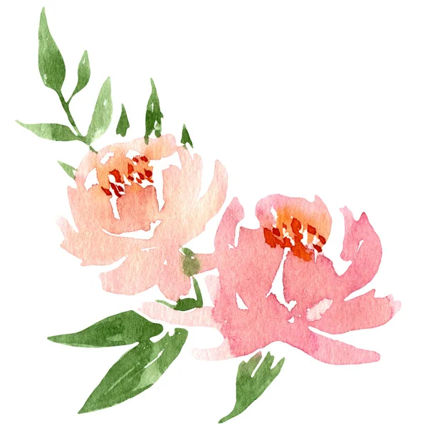 Aquarela Flores Soltas Belas Clip Art Elegante Buquê Floral Banner — Fotografia de Stock