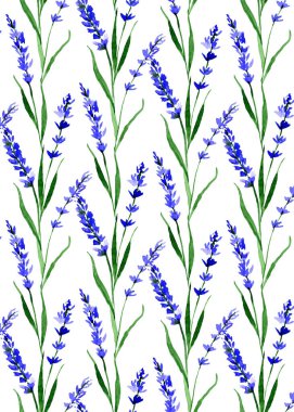 Suluboya, lavanta çiçeği desenli. Tekstil, kıyafet, moda, çarşaf, elbise, kapak, duvar kâğıdı için sonsuz baskı. Modern moda tarzında el boyaması sanat