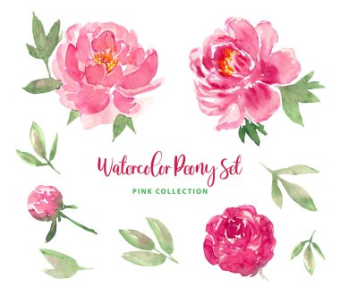 Suluboya moda modern bol tarz pembe şakayık çiçekleri ve yaprakları. Pembe, kırmızı çiçeklerin izole edilmiş görüntülerinin toplanması. Yazdırma, desen, tekstil, duvar kağıtları, davetiyeler, kartlar için.