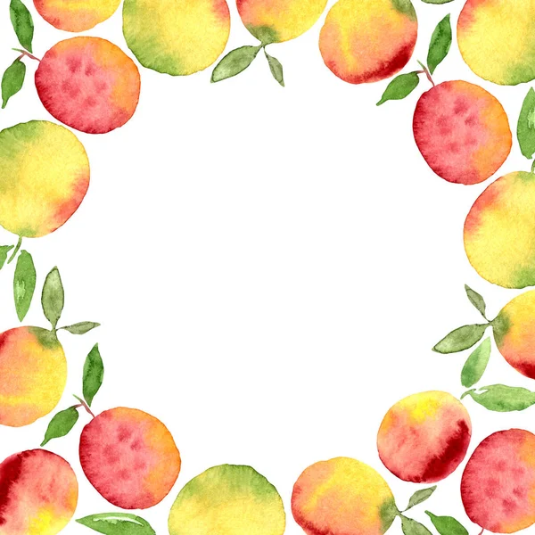 Watercolor Fruit Berry Frame Border Card Strawberry Blueberry Cherry Apricot — Stock Photo, Image
