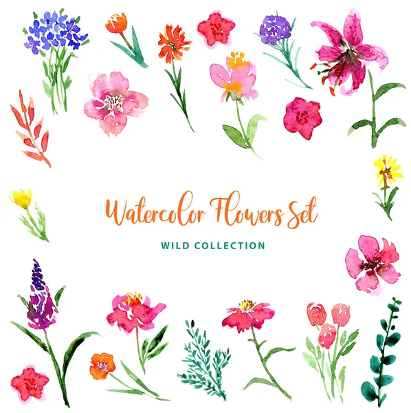 Divoká Akvarel Malé Jemné Květiny Listy Kolekce Volný Styl Květinové — Stock fotografie