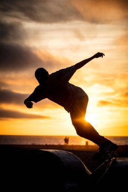 Venice Beach Skate Park