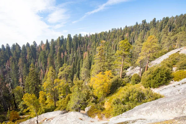 Národní Park Sequoia rozhledna — Stock fotografie