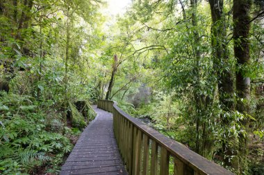 Mangapohue doğal köprü