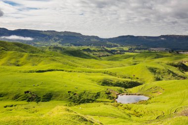 Yeni Zelanda manzara