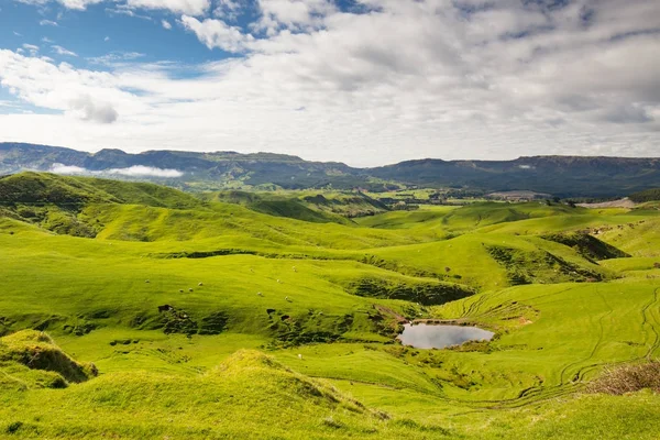 Yeni Zelanda manzara — Stok fotoğraf