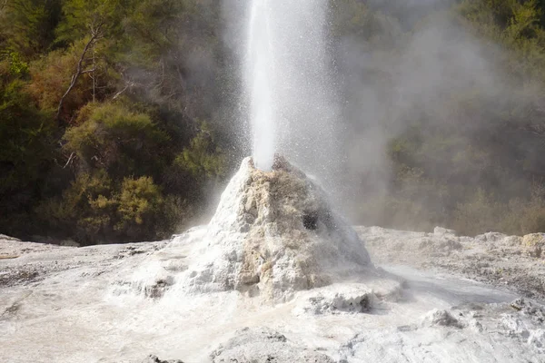 Lady Knox Geyser — Stock Photo, Image