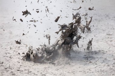 Wai-O-Tapu çamur Havuzu