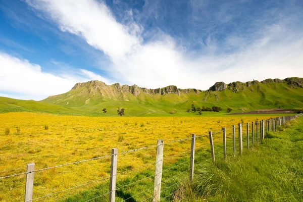 Pico Te Mata — Fotografia de Stock